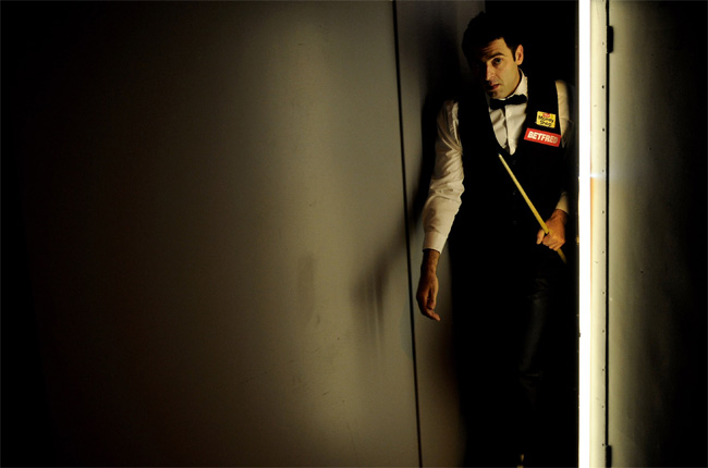 冠军归位的 冠军归位的