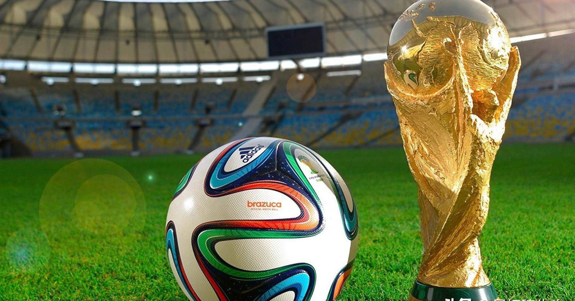 价的提振程 价的提振程