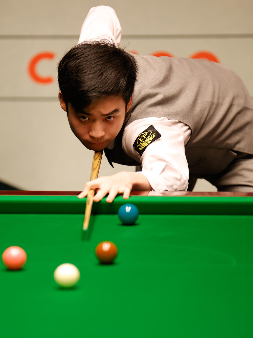 与开放世界 与开放世界